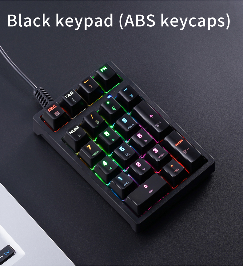 T21 APAYADO แป้นพิมพ์ตัวเลขแบบ - Keyboard Numpad Separate บทวิจารณ์และราคา